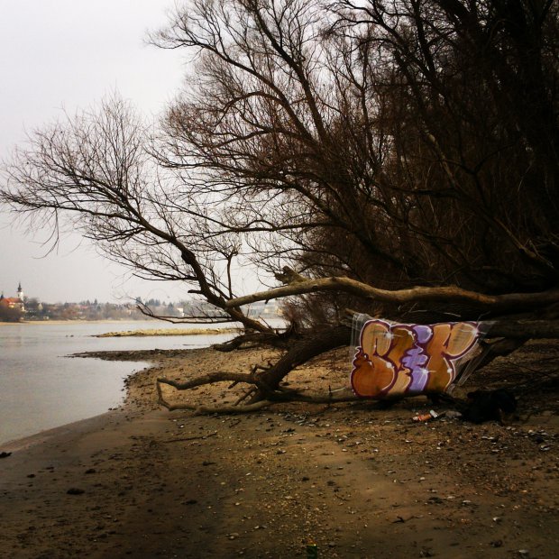 Graffiti Bombing - Photo by thirteen