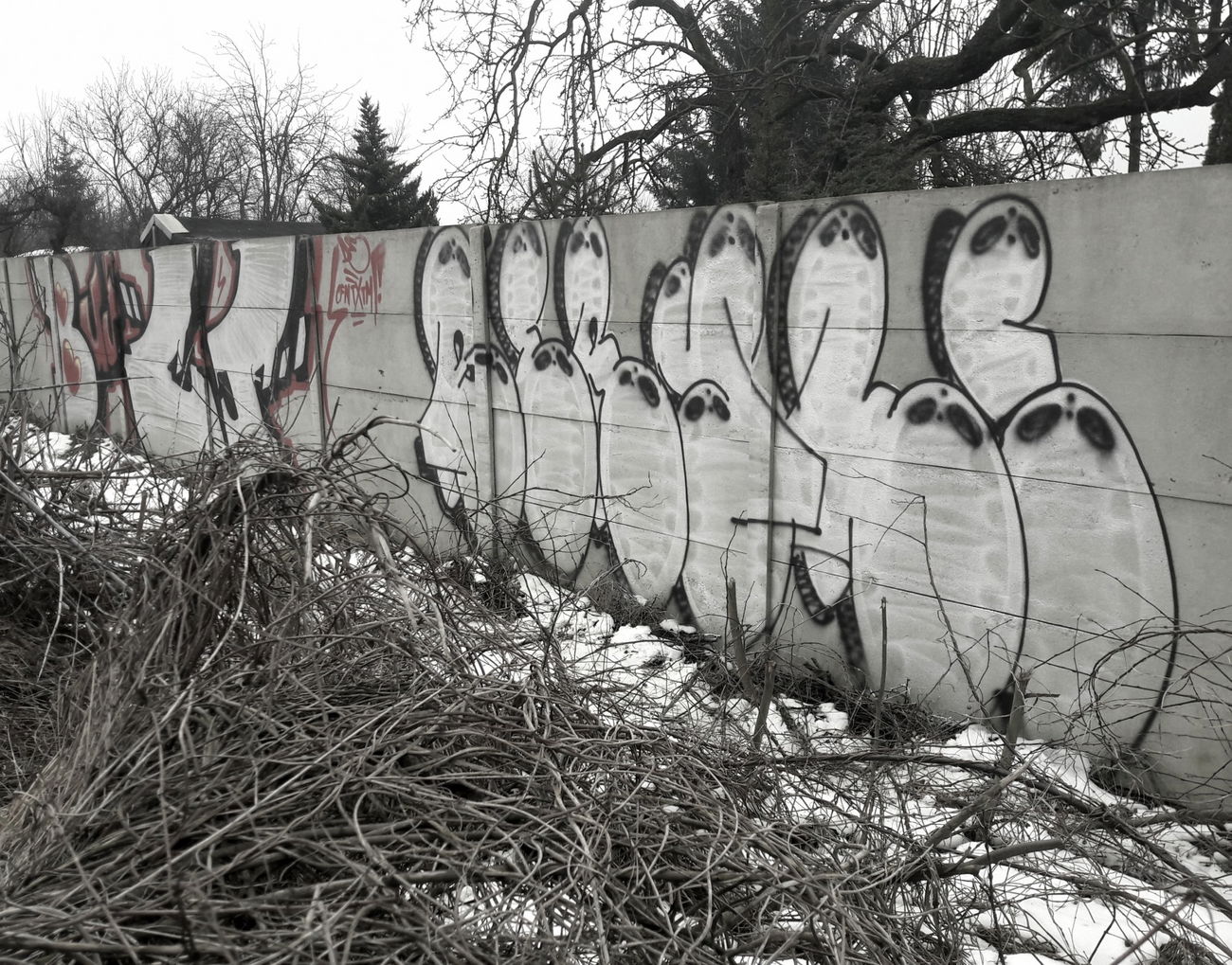 Graffiti Photo by thule - bombing, trainline, chrome