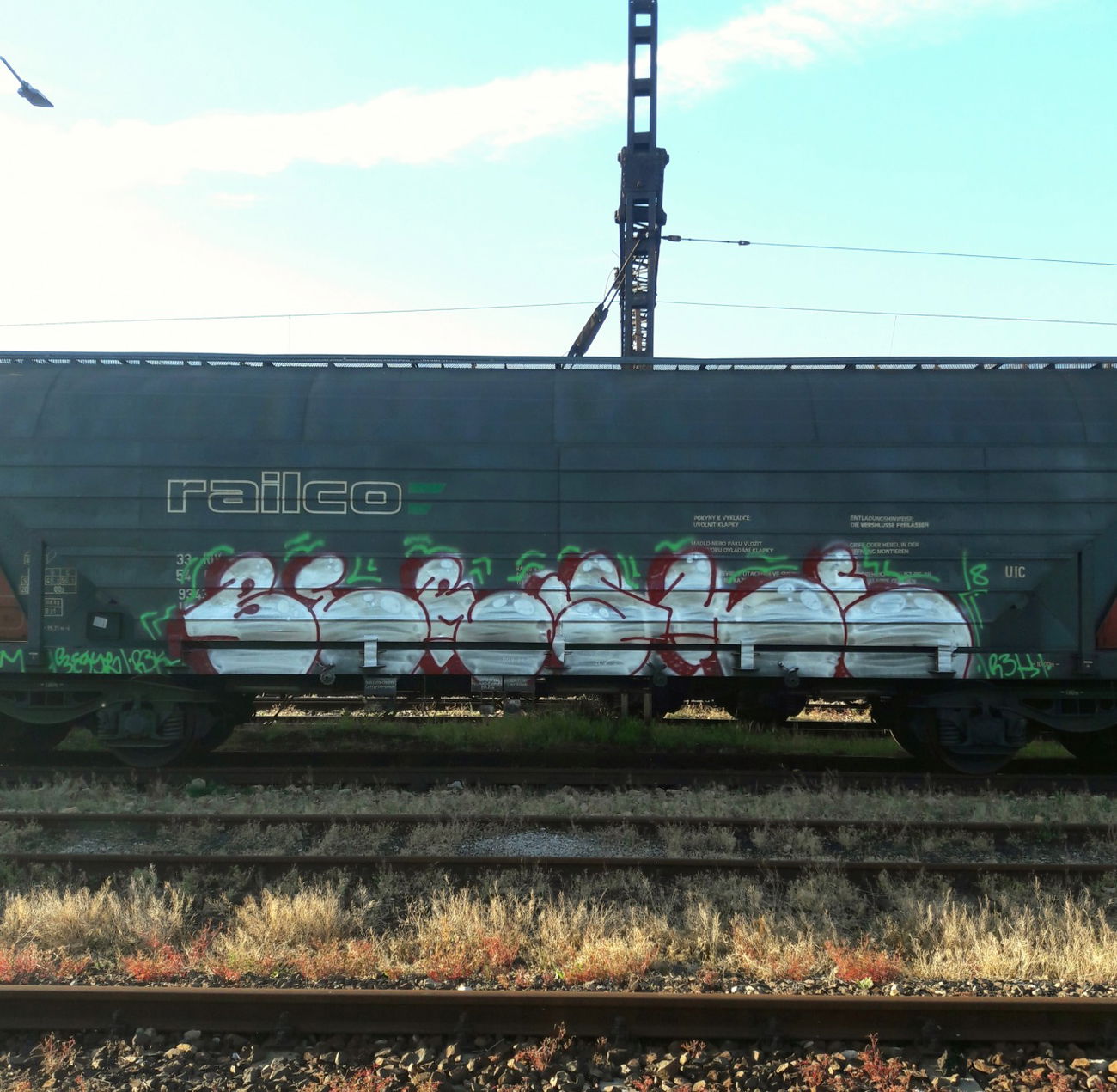 Graffiti Train - Photo by thule - fr8, train, bombing