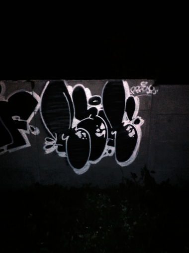 Graffiti Bombing - Photo by thule