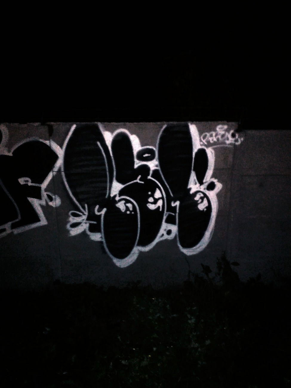 Graffiti Bombing - Photo by thule