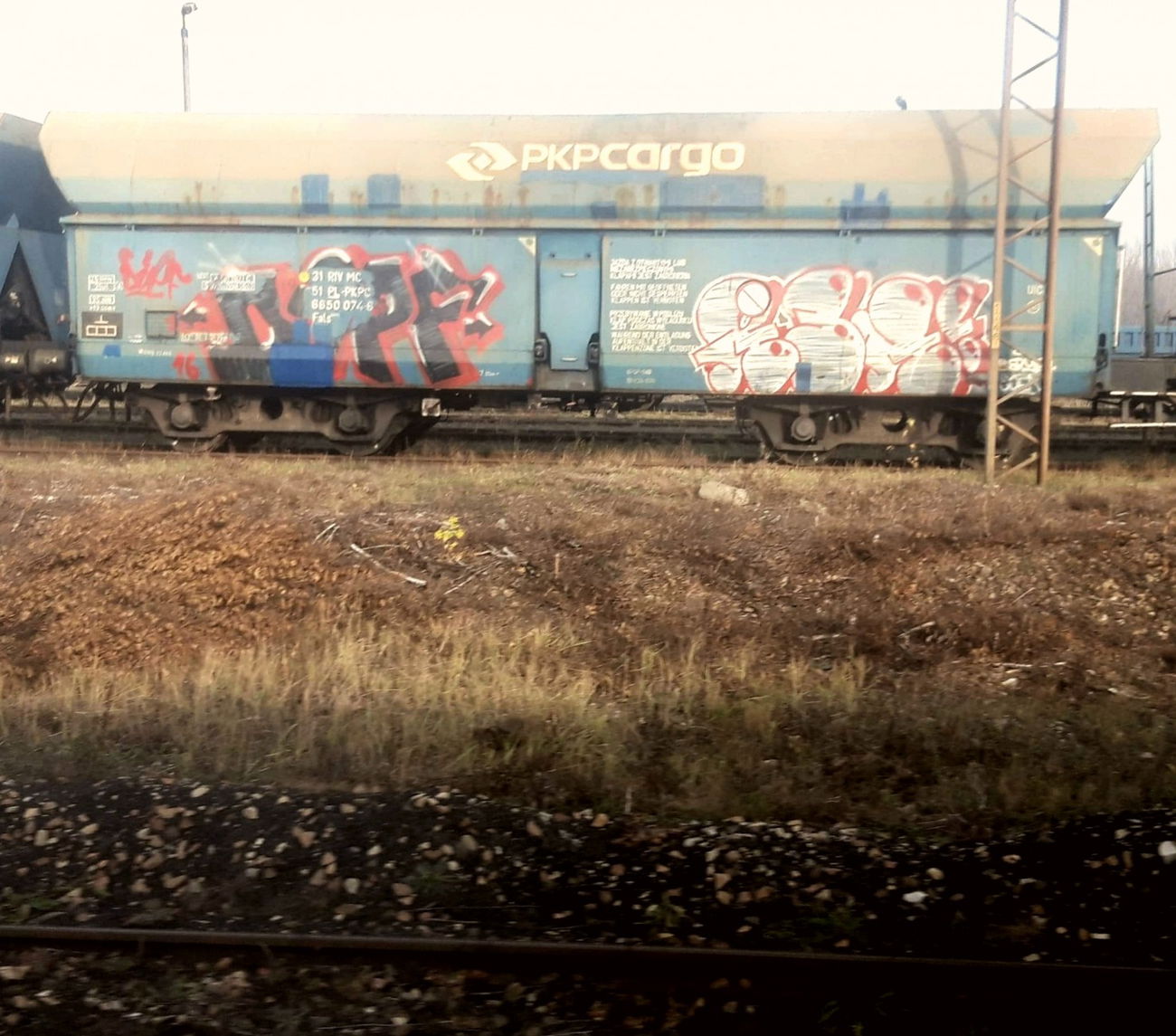 Graffiti Train - Photo by thule (2016)