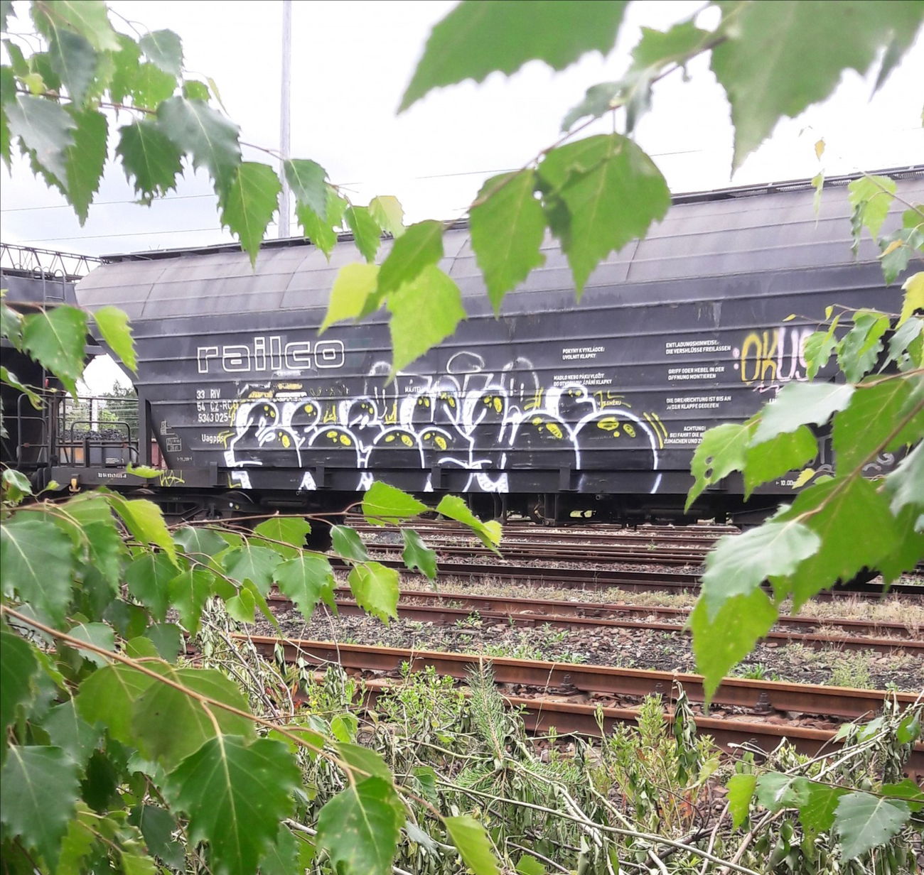 Graffiti Train - Photo by thule - fr8, 420, 330ml