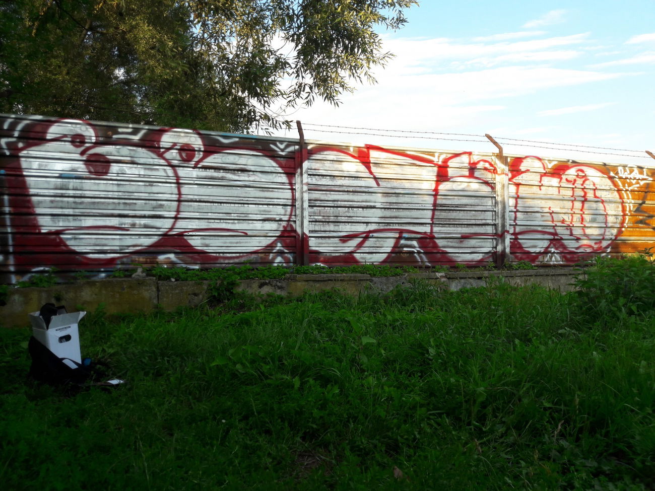 Graffiti Bombing - Photo by thule