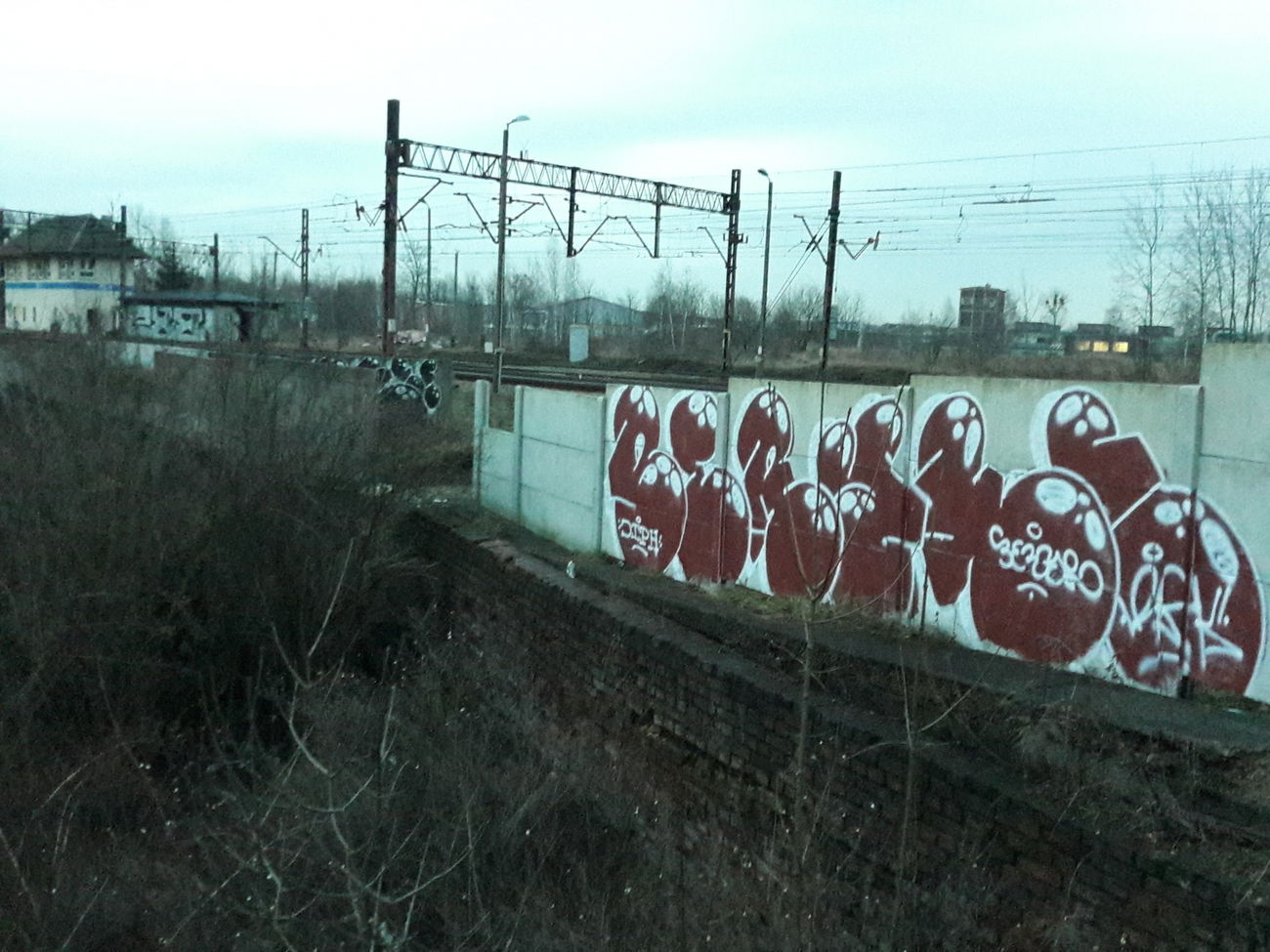 Graffiti Bombing - Photo by thule