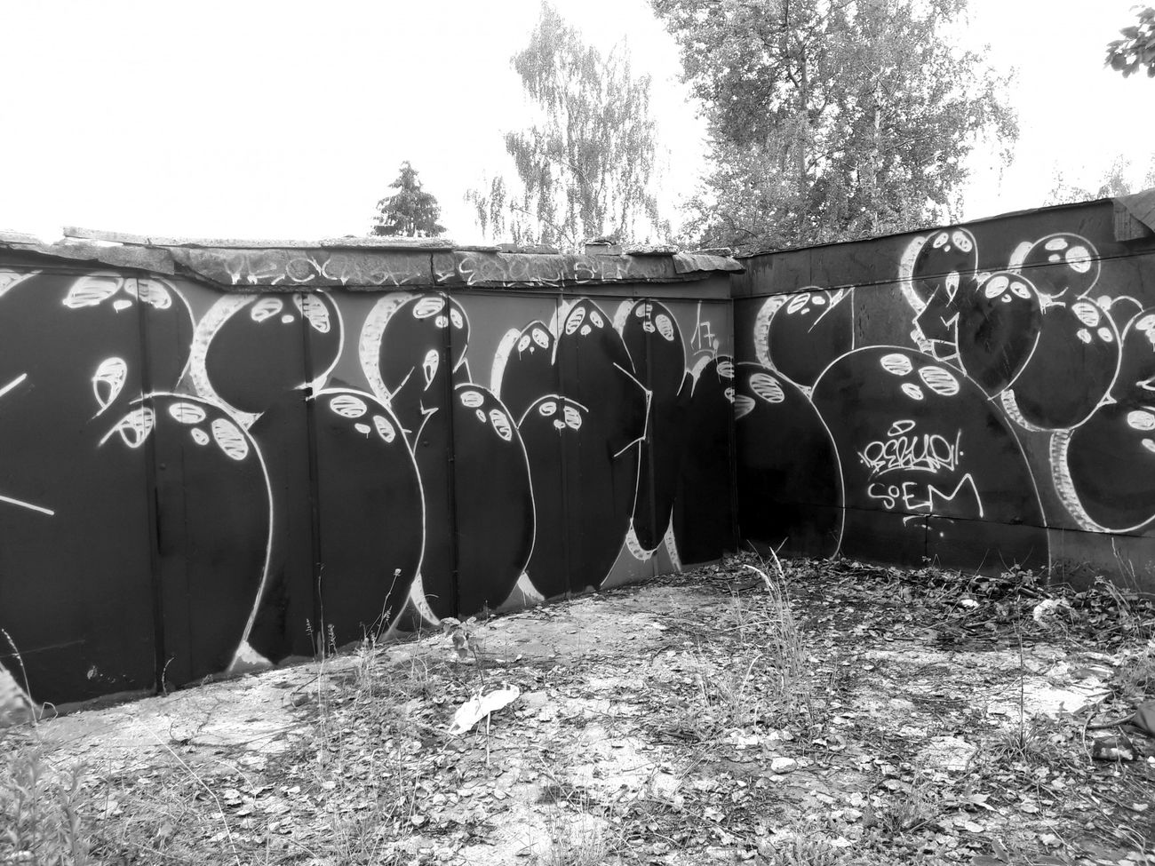 Graffiti Bombing - Photo by thule