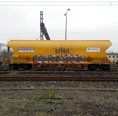 Graffiti Train - Photo by thule