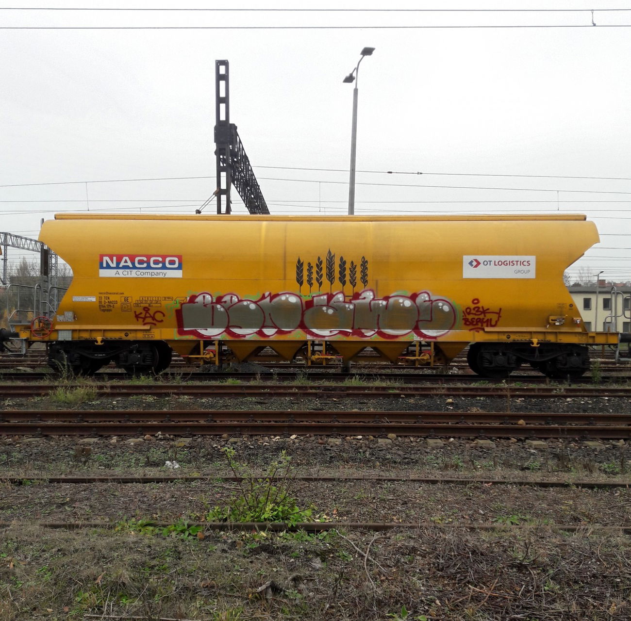 Graffiti Train - Photo by thule