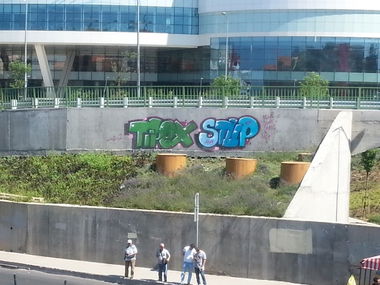 Graffiti Bombing - Photo by tipex - tipex (2014)