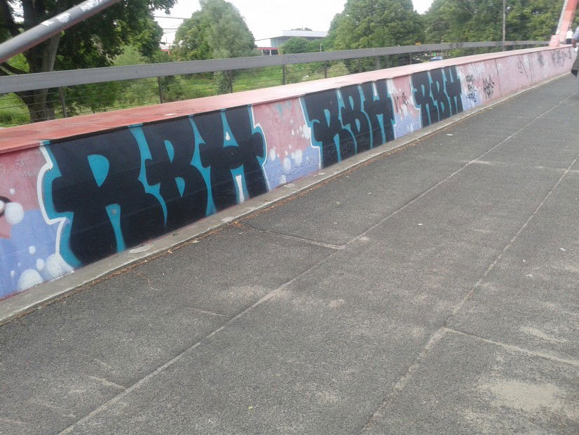 Graffiti Bombing - Photo by tobias1896