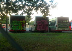 Photo #60604 by kuerbiskerne37