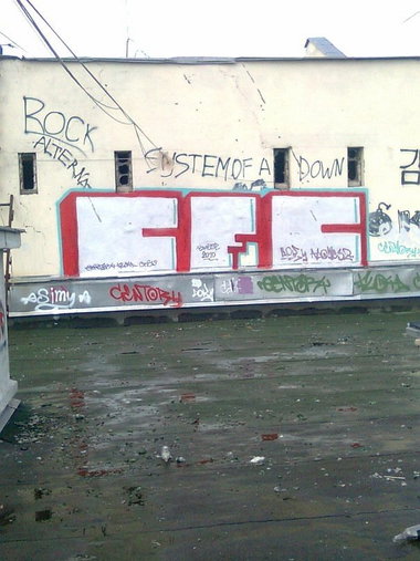 Graffiti Bombing - Photo by tolstuyMONTHY (2010)