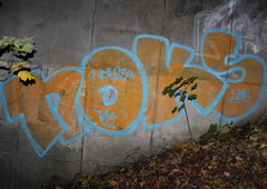 Photo #52871 by tostkopf