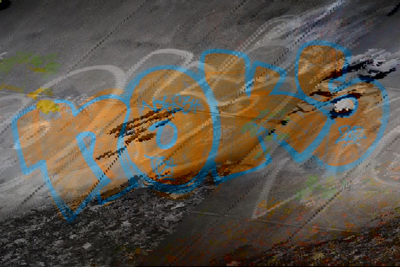 Graffiti Bombing in Kassel - Photo by tomdoppelkom - noks34, t43 (2012)