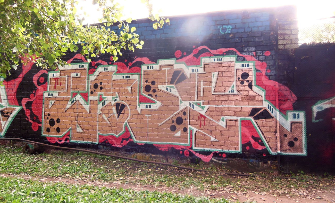 Graffiti Wall in Минск - Photo by tonecktabz - TABZ, tnek, tonek (2017)