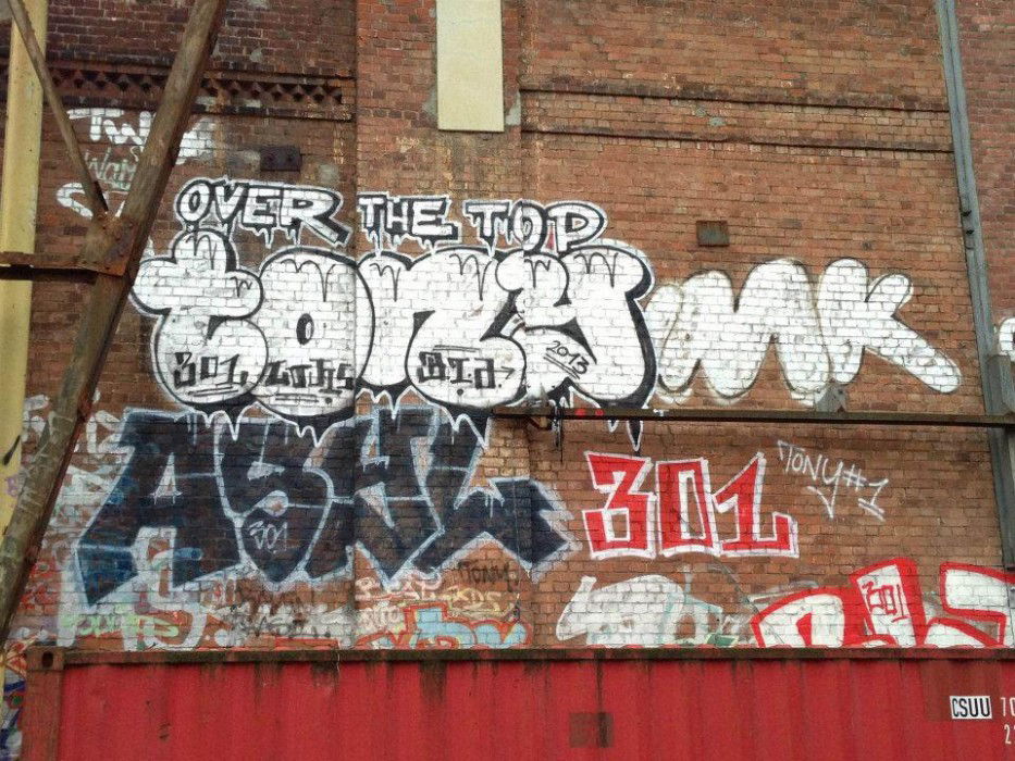 Graffiti Bombing in HAMBURG - Photo by tony301 - ASYL, FROST, RSK