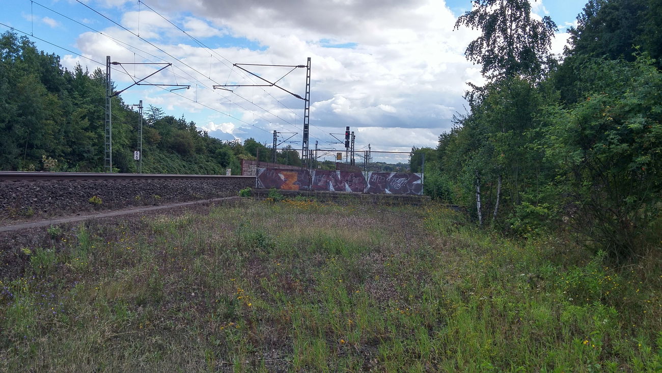 Graffiti Bombing - Photo by tostkopf - DMK, Dmk, D