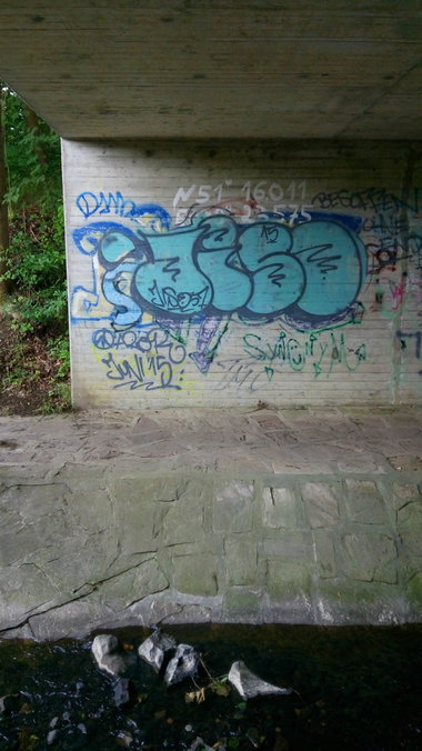 Graffiti Bombing - Photo by tostkopf (2015)