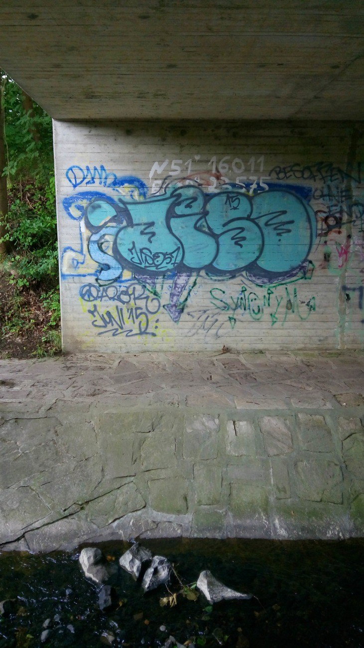 Graffiti Bombing - Photo by tostkopf (2015)