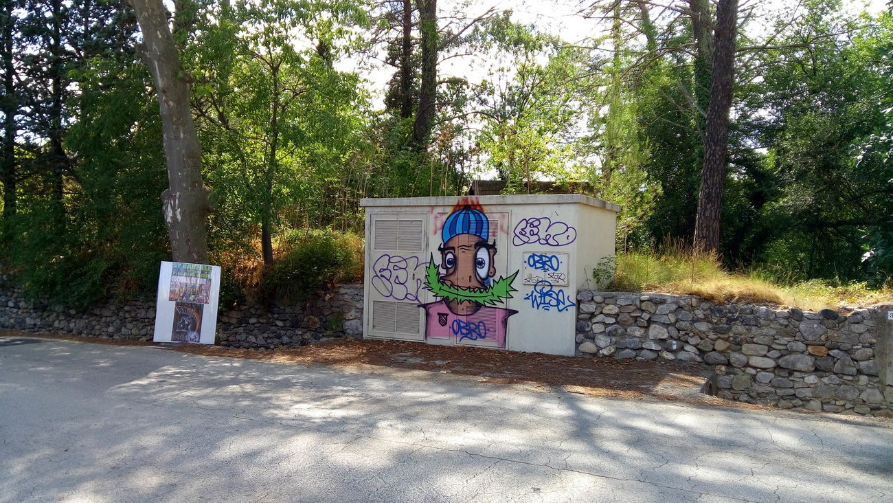 Graffiti Street Art - Photo by tostkopf - wiseone (2014)