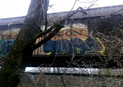 Photo #144142 by hanswurst88