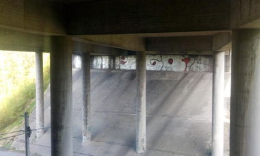 Graffiti Bombing - Photo by tostkopf - rengeeshausen