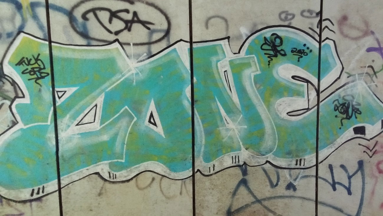 Graffiti Bombing - Photo by tostkopf - zoneeva, fu*k, cops