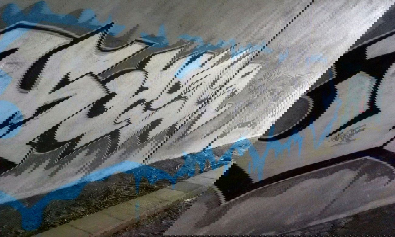 Graffiti Bombing - Photo by tostkopf - rengershausen