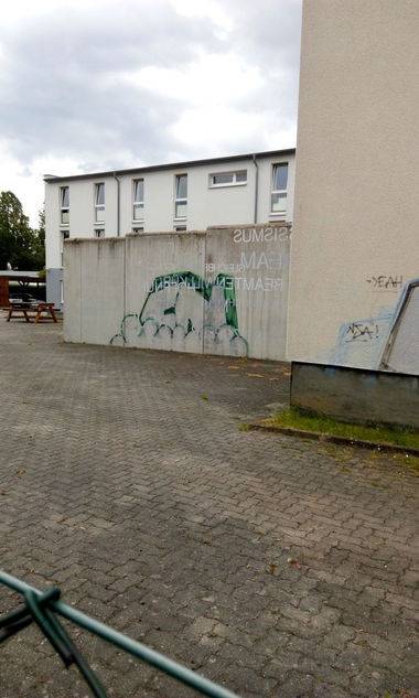 Graffiti Bombing - Photo by tostkopf