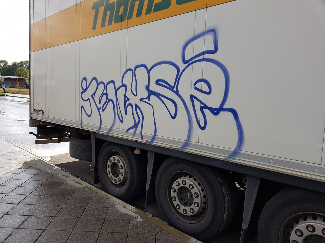 Graffiti Bombing - Photo by tostkopf - kassel, 2017 (2017)