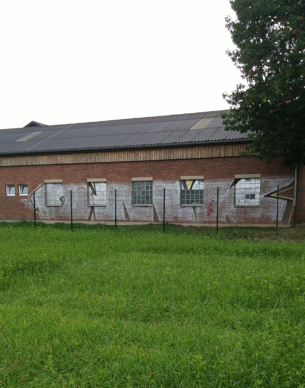 Graffiti Bombing - Photo by tostkopf - DMK, dmk, crew