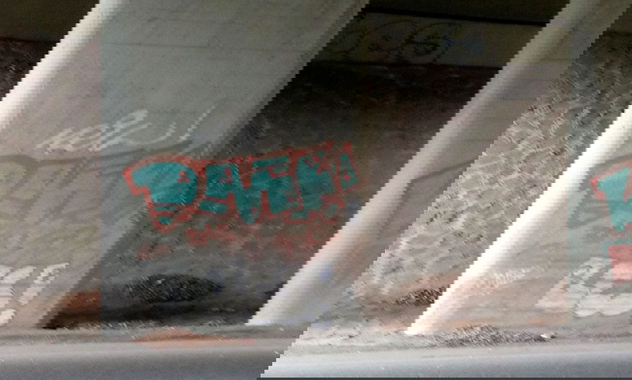 Graffiti Bombing - Photo by tostkopf