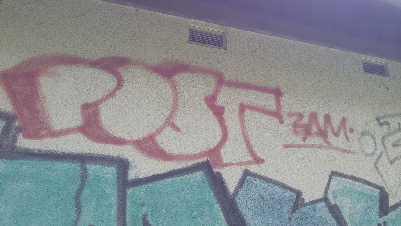 Graffiti Bombing - Photo by tostkopf - BAM, post, 12