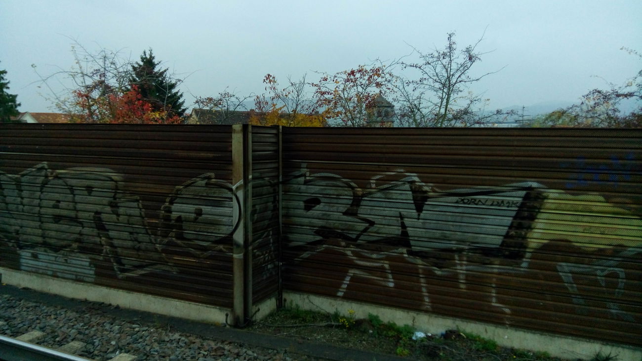 Graffiti Bombing - Photo by tostkopf - dornDMKROVERDR