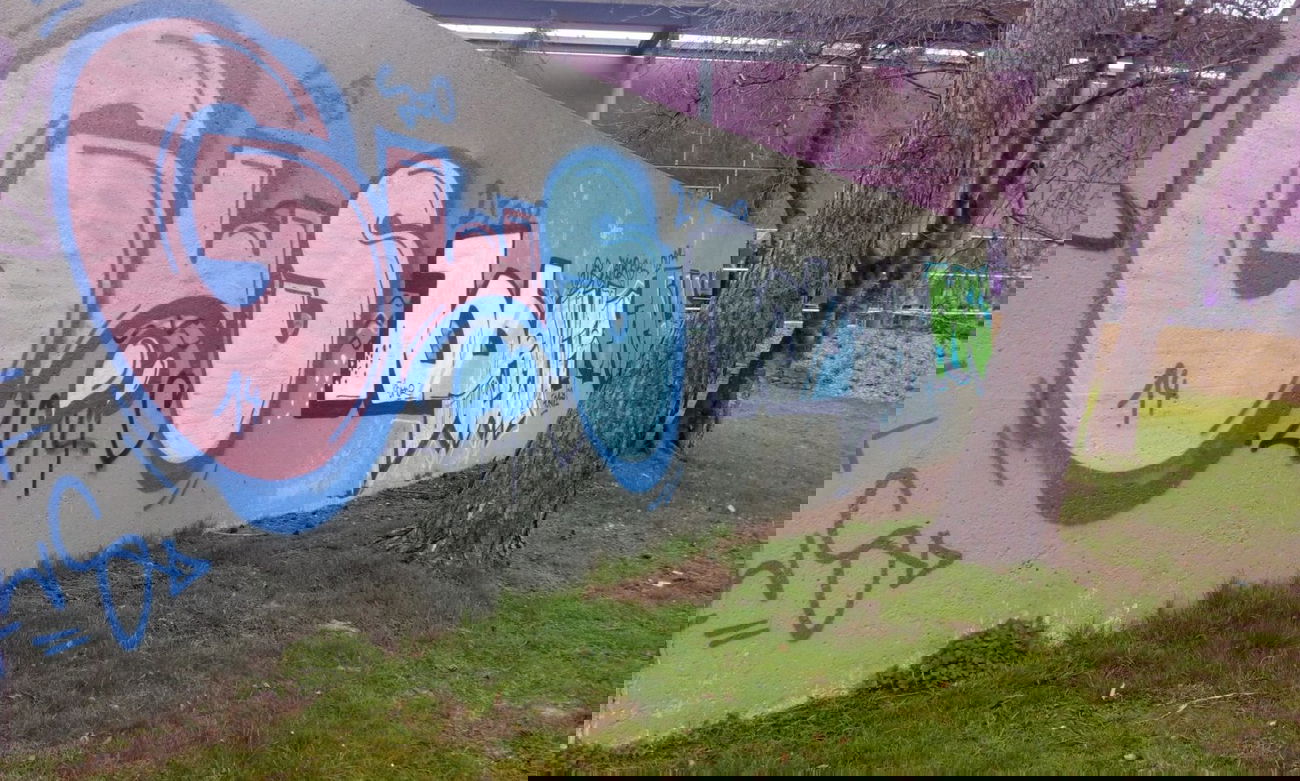 Graffiti Bombing - Photo by tostkopf - kassel (2014)