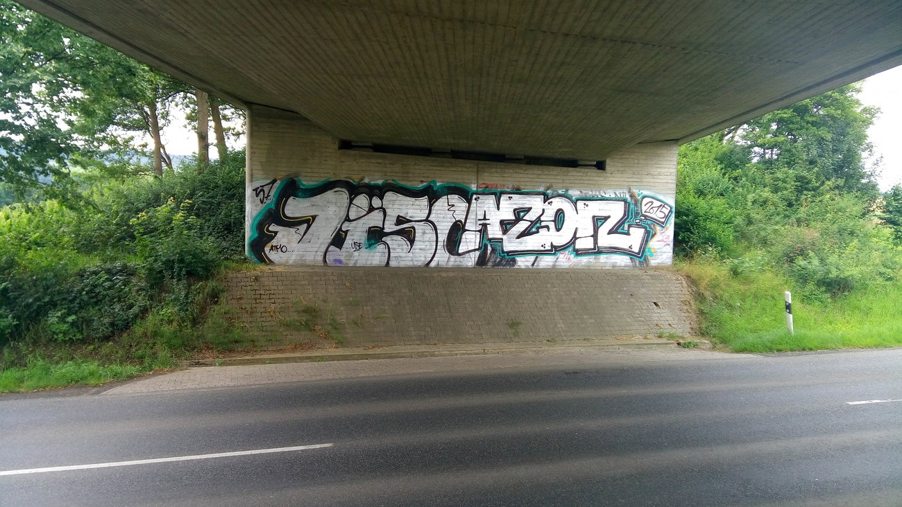 Graffiti Bombing - Photo by tostkopf (2015)