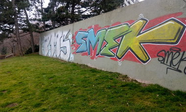 Graffiti Bombing - Photo by tostkopf - kassel (2015)