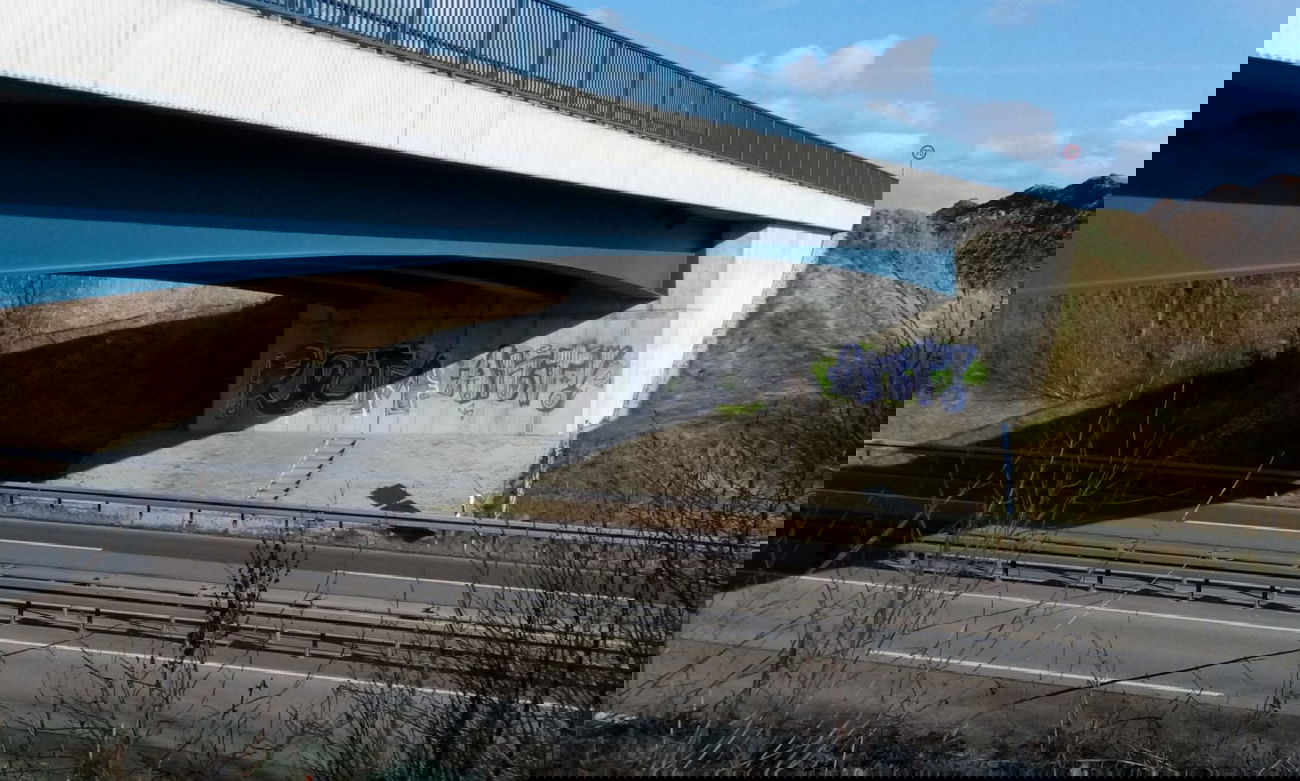 Graffiti Bombing - Photo by tostkopf - hertingshausen (2014)