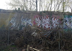 Photo #208747 by Krassesding4