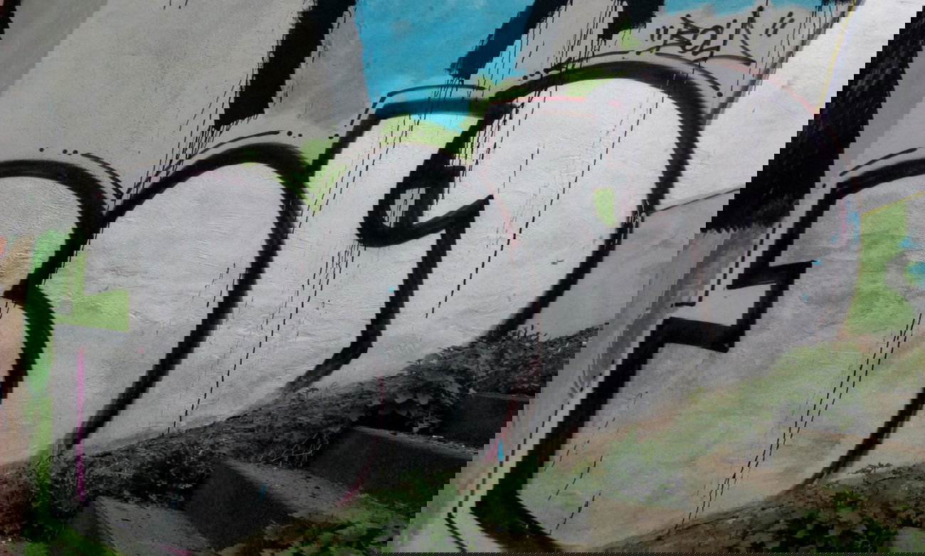 Graffiti Bombing - Photo by tostkopf - rengershausen