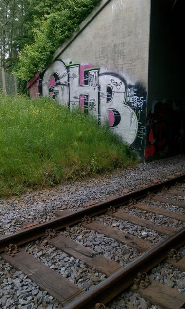 Graffiti Bombing - Photo by tostkopf