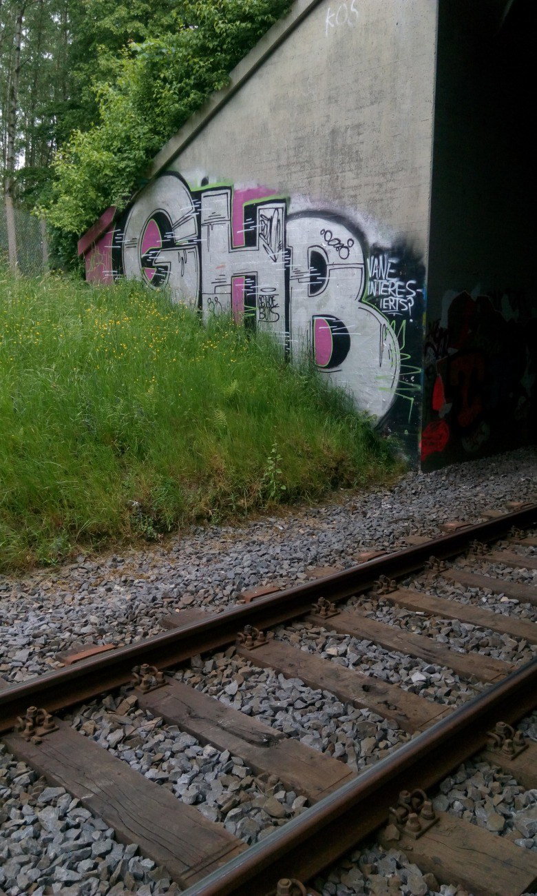 Graffiti Bombing - Photo by tostkopf