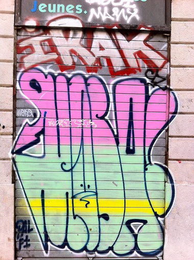 Graffiti Bombing - Photo by toysareus