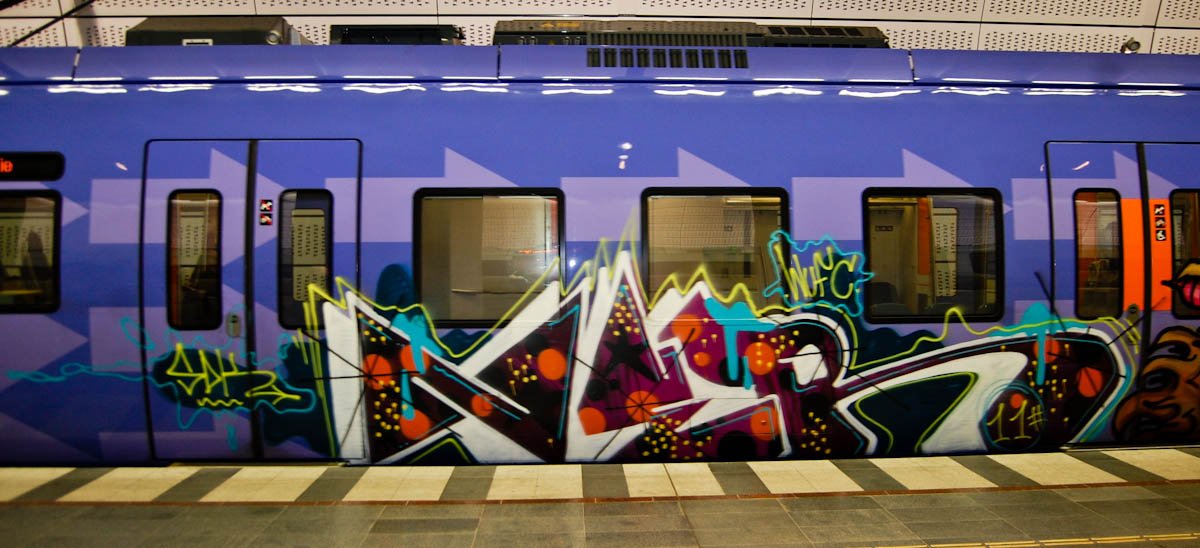 Graffiti Train - Photo by toysareus