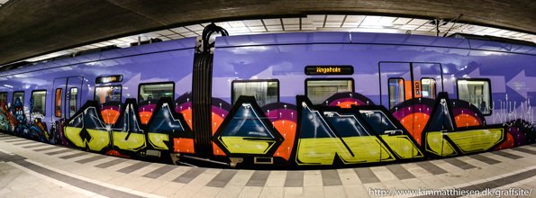 Graffiti Train - Photo by toysareus