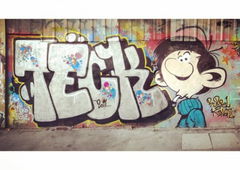 Photo #71483 by unknown