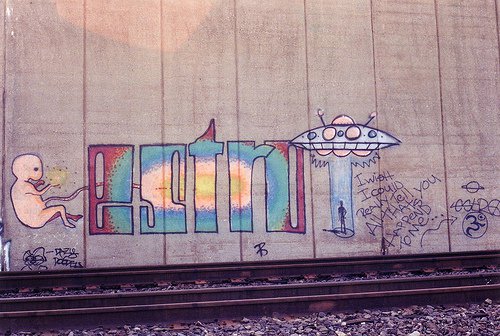 Graffiti Bombing - Photo by toysareus