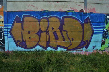 Graffiti Wall - Photo by tqe (2013)