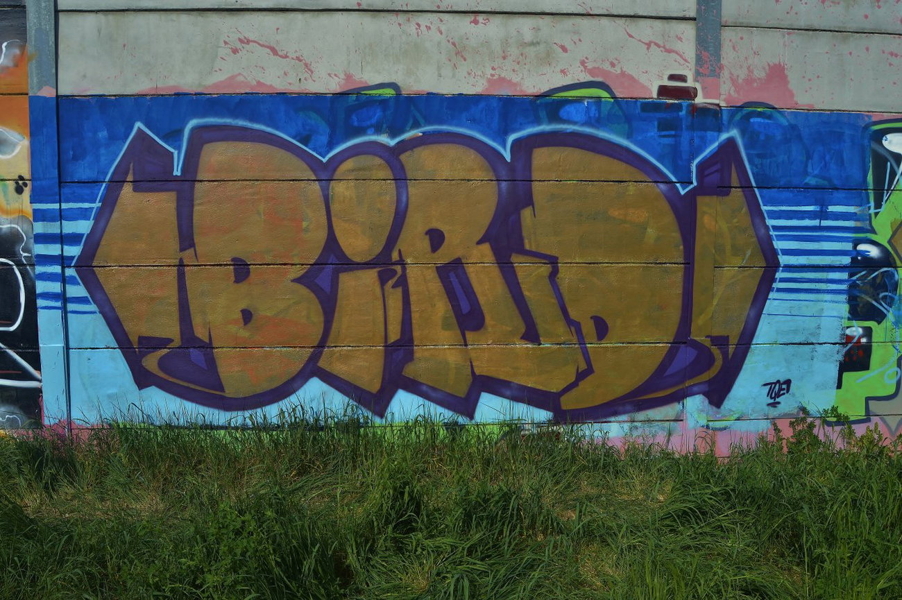 Graffiti Wall - Photo by tqe (2013)