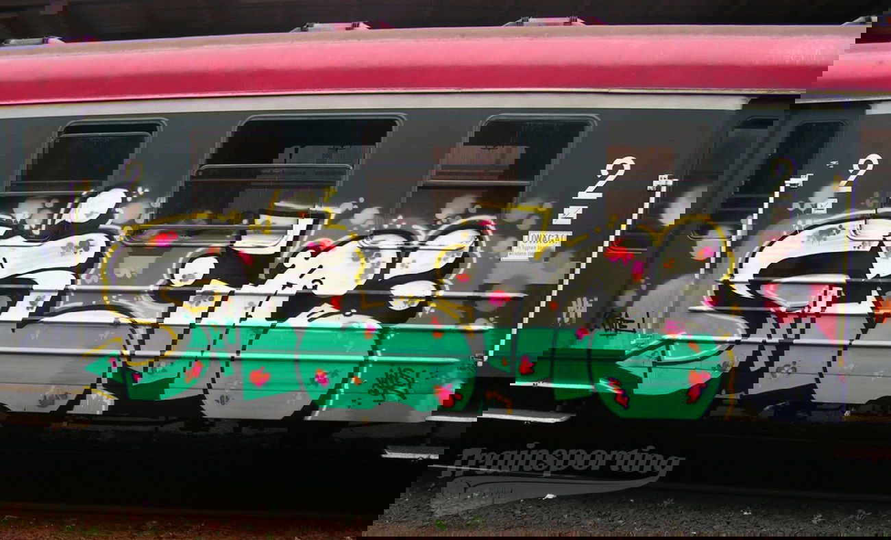 Graffiti Train - Photo by trainsporting - arie, bk, koszalin (2014)